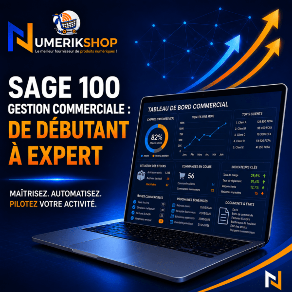 sage 100 gestion commerciale